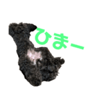 モカ・レイの日常（個別スタンプ：4）
