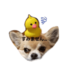 むぎころ（個別スタンプ：1）