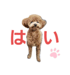むぎころ（個別スタンプ：2）