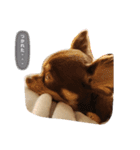 むぎころ（個別スタンプ：3）