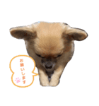 むぎころ（個別スタンプ：8）