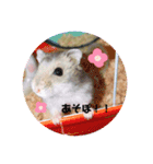 ペットのスタンプ。（個別スタンプ：2）