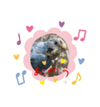 ペットのスタンプ。（個別スタンプ：7）
