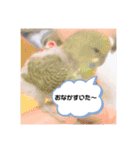 ペットのスタンプ。（個別スタンプ：15）