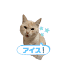 ハルハナ3（個別スタンプ：7）