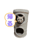ハルハナ3（個別スタンプ：14）