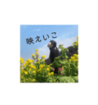 凜の日常的用語（個別スタンプ：21）