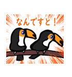 【敬語挨拶】ふっくらオニオオハシさん（個別スタンプ：17）