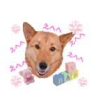 雑種犬ラウルPart2（個別スタンプ：3）