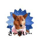 雑種犬ラウルPart2（個別スタンプ：4）