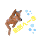 雑種犬ラウルPart2（個別スタンプ：7）