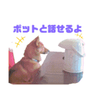 雑種犬ラウルPart2（個別スタンプ：8）