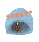 雑種犬ラウルPart2（個別スタンプ：18）