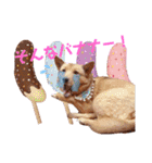 雑種犬ラウルPart2（個別スタンプ：20）