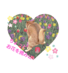 雑種犬ラウルPart2（個別スタンプ：23）
