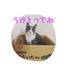 るちるのスタンプ（個別スタンプ：4）