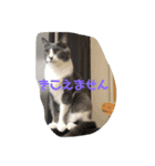 るちるのスタンプ（個別スタンプ：7）
