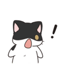ヨンヨンスタジオ : にゃんこ一日（個別スタンプ：11）