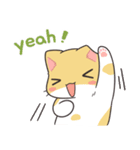 ヨンヨンスタジオ : にゃんこ一日（個別スタンプ：14）