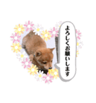 たろスタンプ 日常編（個別スタンプ：10）