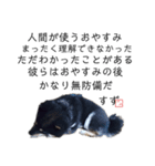 黒豆柴すずの名言集vol.1（個別スタンプ：4）