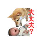 いっち〜S'（個別スタンプ：7）