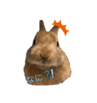 ごくらく日記（個別スタンプ：1）