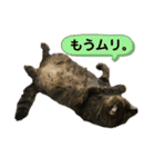 ミミ様（個別スタンプ：4）