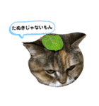 ミミ様（個別スタンプ：10）