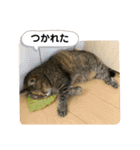 ミミ様（個別スタンプ：12）