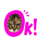 ミミ様（個別スタンプ：13）