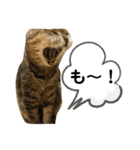 ミミ様（個別スタンプ：21）