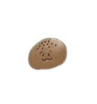 パンパカぱーん（個別スタンプ：21）