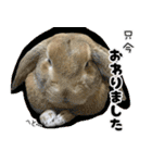 ふくのすけの日常会話（個別スタンプ：1）