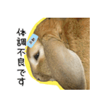ふくのすけの日常会話（個別スタンプ：3）