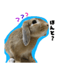 ふくのすけの日常会話（個別スタンプ：6）