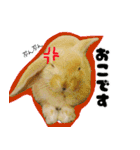 ふくのすけの日常会話（個別スタンプ：9）