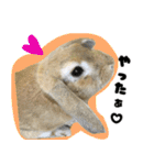 ふくのすけの日常会話（個別スタンプ：10）