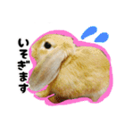 ふくのすけの日常会話（個別スタンプ：14）