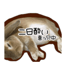 ふくのすけの日常会話（個別スタンプ：27）