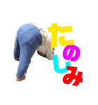 みたしすたーず（個別スタンプ：13）