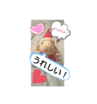 ダフネと仲間達（個別スタンプ：1）