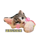 ボク、キャンティー 2（個別スタンプ：8）