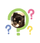 ルキちゃんスタンプ（個別スタンプ：1）