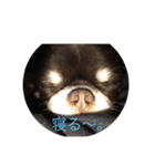 ルキちゃんスタンプ（個別スタンプ：3）