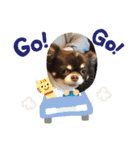 ルキちゃんスタンプ（個別スタンプ：9）
