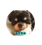 ルキちゃんスタンプ（個別スタンプ：14）
