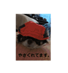 ルキちゃんスタンプ（個別スタンプ：18）