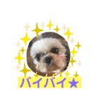 ルキちゃんスタンプ（個別スタンプ：26）