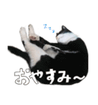 だいくろふみ（個別スタンプ：2）